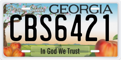 GA license plate CBS6421