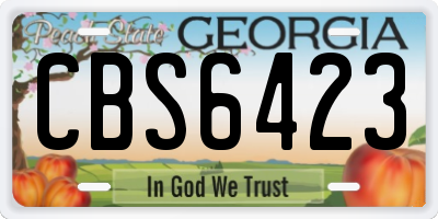GA license plate CBS6423