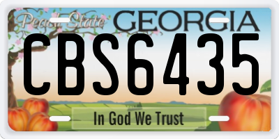 GA license plate CBS6435