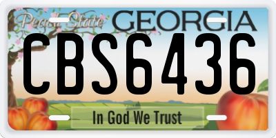 GA license plate CBS6436