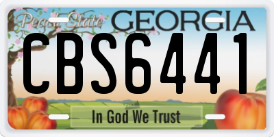 GA license plate CBS6441