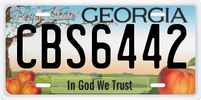 GA license plate CBS6442
