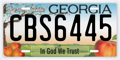 GA license plate CBS6445