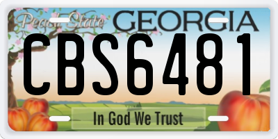 GA license plate CBS6481