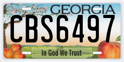 GA license plate CBS6497
