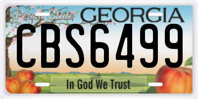 GA license plate CBS6499