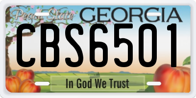 GA license plate CBS6501