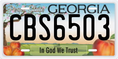 GA license plate CBS6503