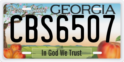 GA license plate CBS6507