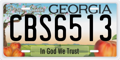 GA license plate CBS6513