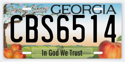 GA license plate CBS6514