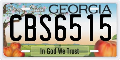 GA license plate CBS6515