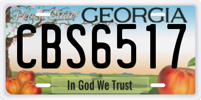 GA license plate CBS6517
