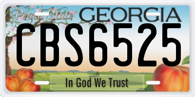 GA license plate CBS6525