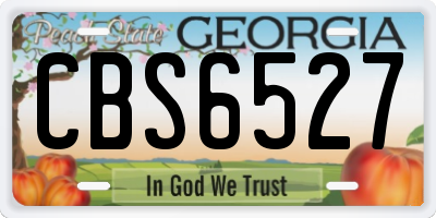 GA license plate CBS6527