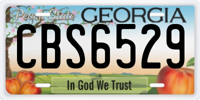 GA license plate CBS6529
