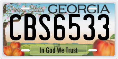 GA license plate CBS6533