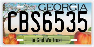 GA license plate CBS6535