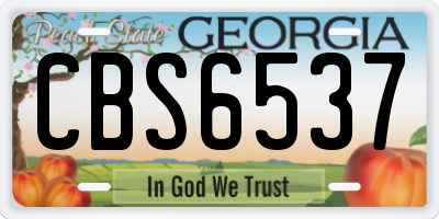 GA license plate CBS6537