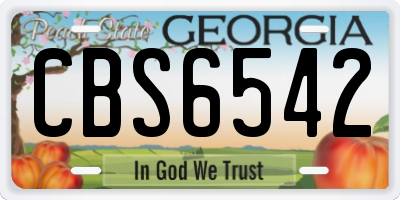 GA license plate CBS6542