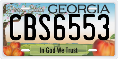 GA license plate CBS6553