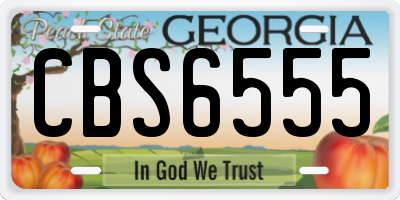 GA license plate CBS6555