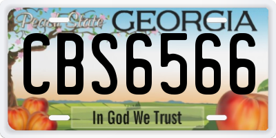 GA license plate CBS6566