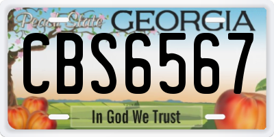 GA license plate CBS6567