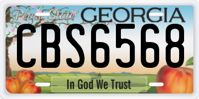 GA license plate CBS6568
