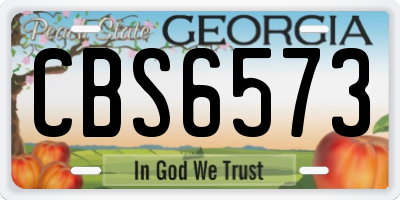 GA license plate CBS6573