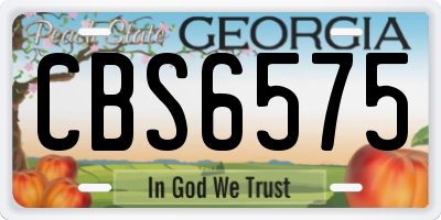 GA license plate CBS6575