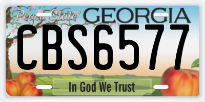 GA license plate CBS6577