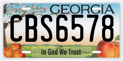 GA license plate CBS6578