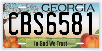 GA license plate CBS6581