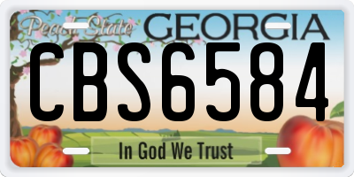 GA license plate CBS6584