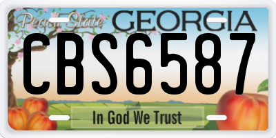 GA license plate CBS6587