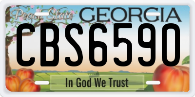 GA license plate CBS6590