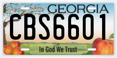 GA license plate CBS6601
