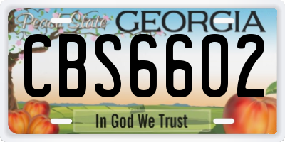 GA license plate CBS6602