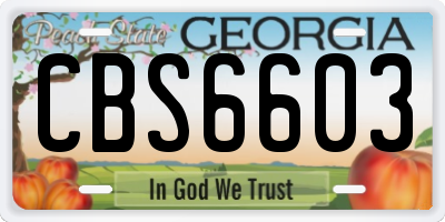 GA license plate CBS6603
