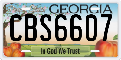GA license plate CBS6607