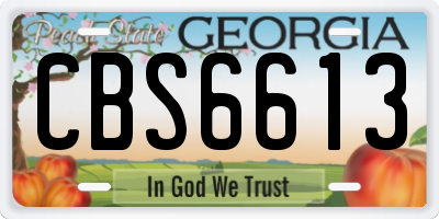 GA license plate CBS6613