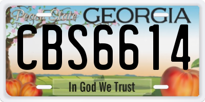 GA license plate CBS6614