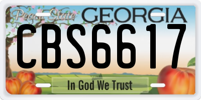 GA license plate CBS6617