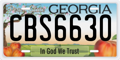 GA license plate CBS6630