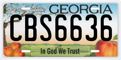 GA license plate CBS6636