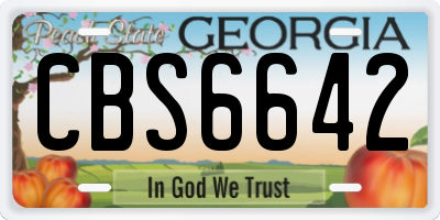GA license plate CBS6642