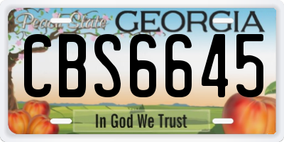 GA license plate CBS6645