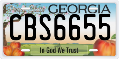GA license plate CBS6655