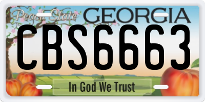 GA license plate CBS6663